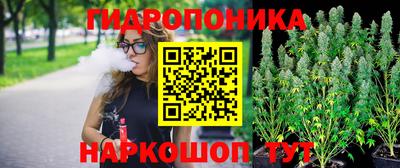 наркотики Кингисепп