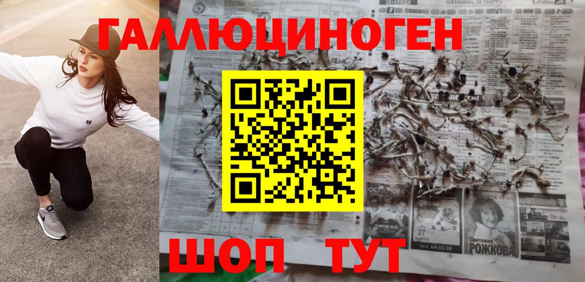 Красный Сулин  Галлюциногенные грибы Cubensis  Вход с VPN 