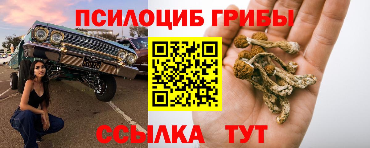 Галлюциногенные грибы мицелий Красный Сулин